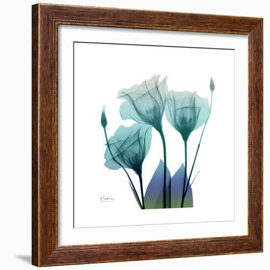 Gentian Buddies-Albert Koetsier-Framed Art Print