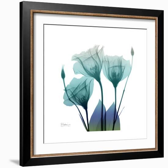 Gentian Buddies-Albert Koetsier-Framed Art Print