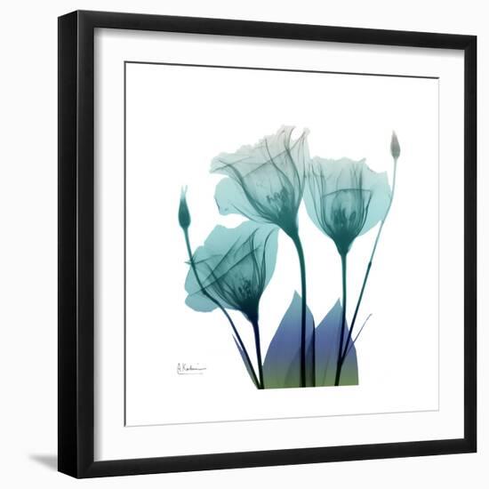 Gentian Buddies-Albert Koetsier-Framed Art Print