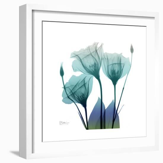 Gentian Buddies-Albert Koetsier-Framed Art Print