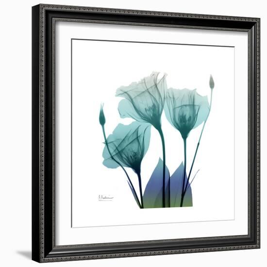 Gentian Buddies-Albert Koetsier-Framed Art Print