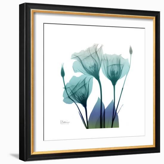 Gentian Buddies-Albert Koetsier-Framed Art Print