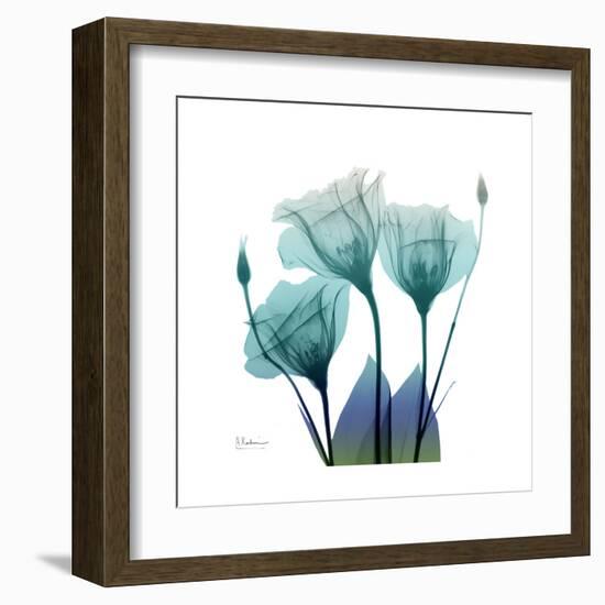 Gentian Buddies-Albert Koetsier-Framed Art Print