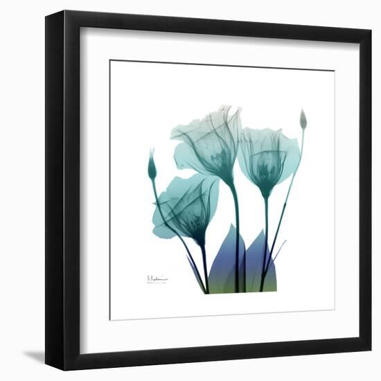 Gentian Buddies-Albert Koetsier-Framed Art Print