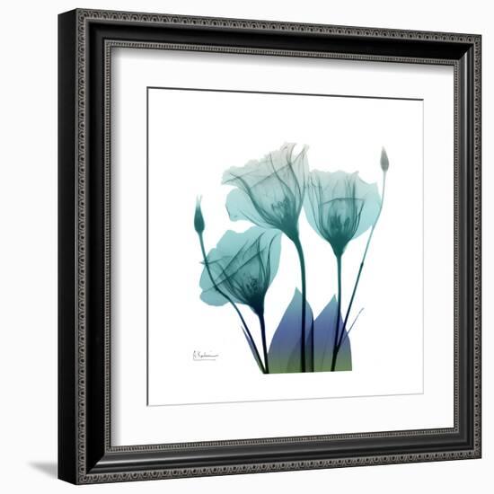 Gentian Buddies-Albert Koetsier-Framed Art Print