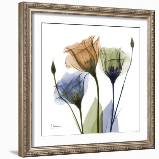 Gentian Buddies-Albert Koetsier-Framed Premium Giclee Print