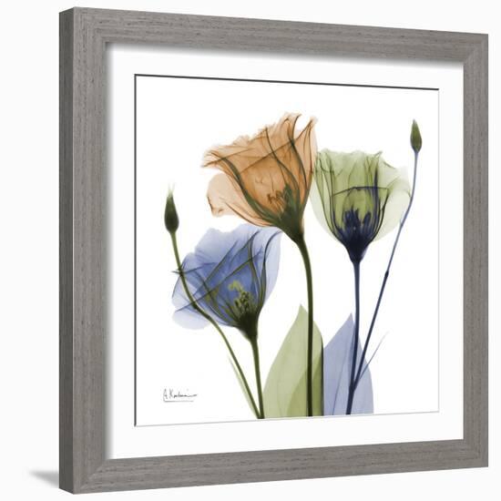 Gentian Buddies-Albert Koetsier-Framed Premium Giclee Print