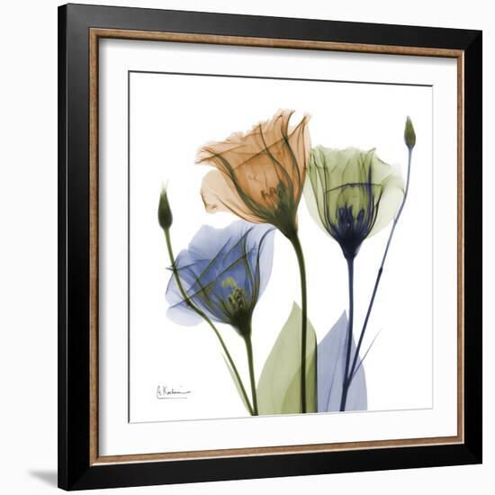 Gentian Buddies-Albert Koetsier-Framed Premium Giclee Print