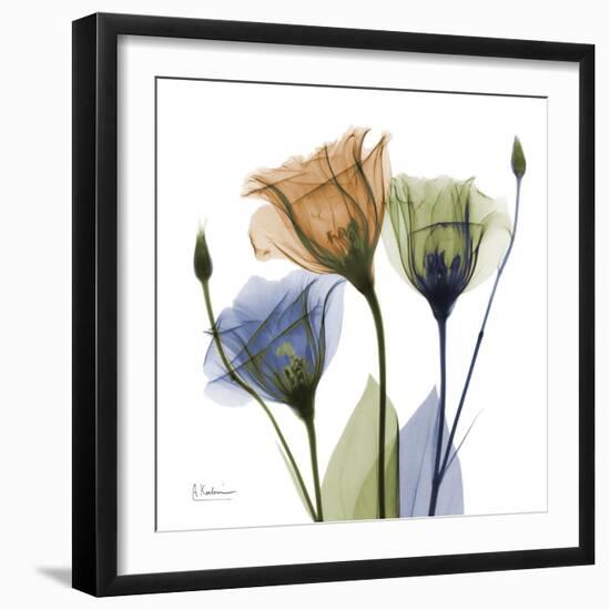 Gentian Buddies-Albert Koetsier-Framed Premium Giclee Print