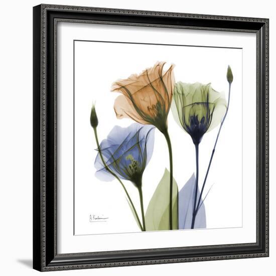 Gentian Buddies-Albert Koetsier-Framed Premium Giclee Print