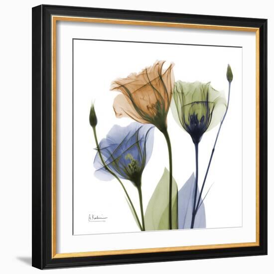 Gentian Buddies-Albert Koetsier-Framed Premium Giclee Print