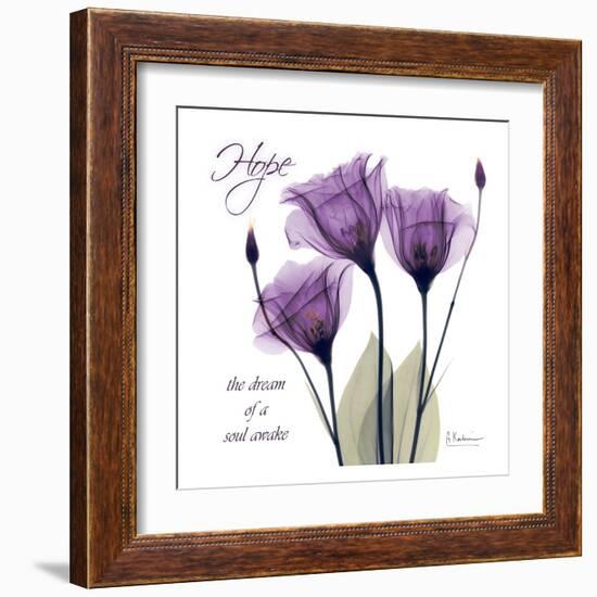 Gentian Hope-Albert Koetsier-Framed Art Print