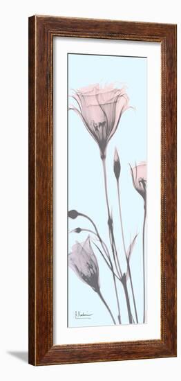 Gentian Paradise-Albert Koetsier-Framed Photo