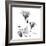 Gentian Trio in Black and White-Albert Koetsier-Framed Art Print