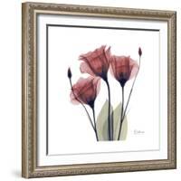 Gentian Trio in Red-Albert Koetsier-Framed Premium Giclee Print