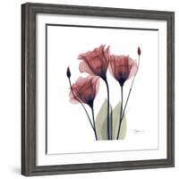 Gentian Trio in Red-Albert Koetsier-Framed Premium Giclee Print