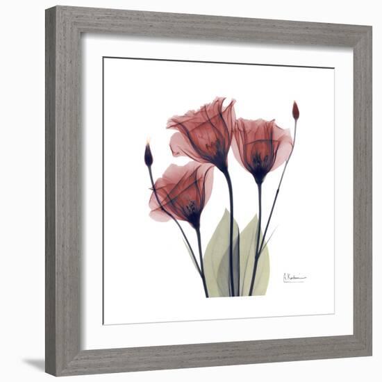 Gentian Trio in Red-Albert Koetsier-Framed Premium Giclee Print