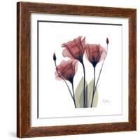 Gentian Trio in Red-Albert Koetsier-Framed Premium Giclee Print