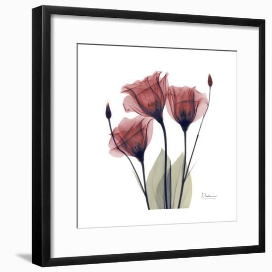 Gentian Trio in Red-Albert Koetsier-Framed Premium Giclee Print