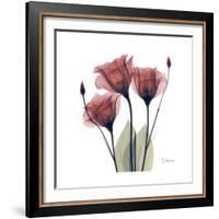 Gentian Trio in Red-Albert Koetsier-Framed Premium Giclee Print