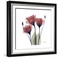 Gentian Trio in Red-Albert Koetsier-Framed Premium Giclee Print
