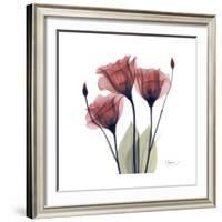 Gentian Trio in Red-Albert Koetsier-Framed Premium Giclee Print