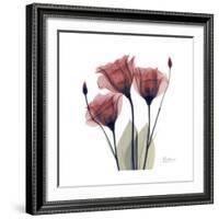 Gentian Trio in Red-Albert Koetsier-Framed Premium Giclee Print