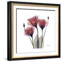 Gentian Trio in Red-Albert Koetsier-Framed Premium Giclee Print