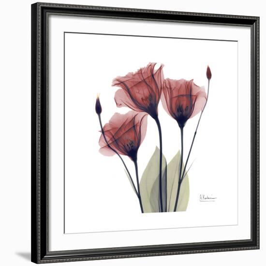 Gentian Trio in Red-Albert Koetsier-Framed Giclee Print