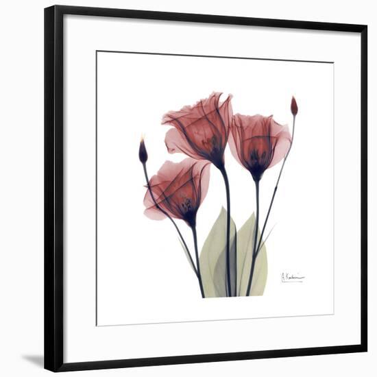 Gentian Trio in Red-Albert Koetsier-Framed Giclee Print