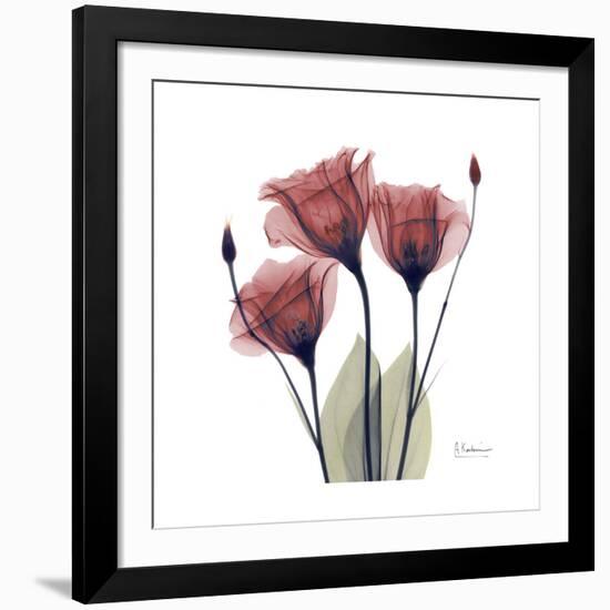 Gentian Trio in Red-Albert Koetsier-Framed Giclee Print