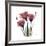 Gentian Trio in Red-Albert Koetsier-Framed Giclee Print