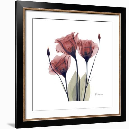 Gentian Trio in Red-Albert Koetsier-Framed Giclee Print