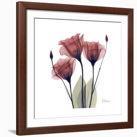 Gentian Trio in Red-Albert Koetsier-Framed Giclee Print