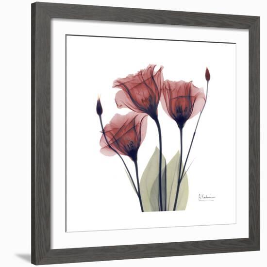 Gentian Trio in Red-Albert Koetsier-Framed Giclee Print