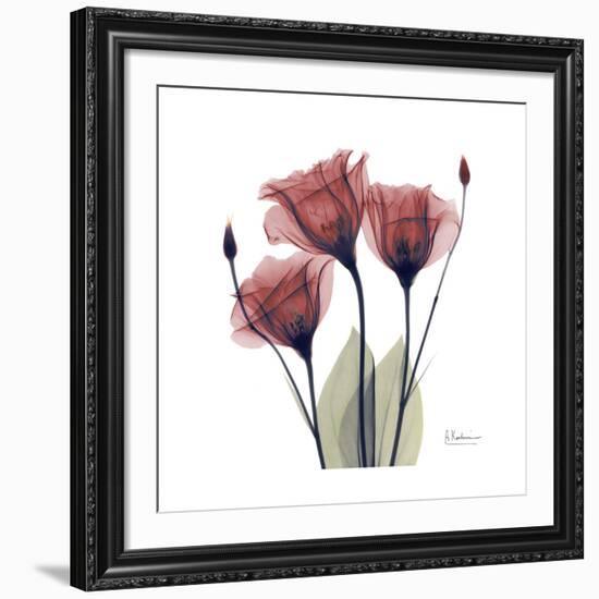 Gentian Trio in Red-Albert Koetsier-Framed Giclee Print