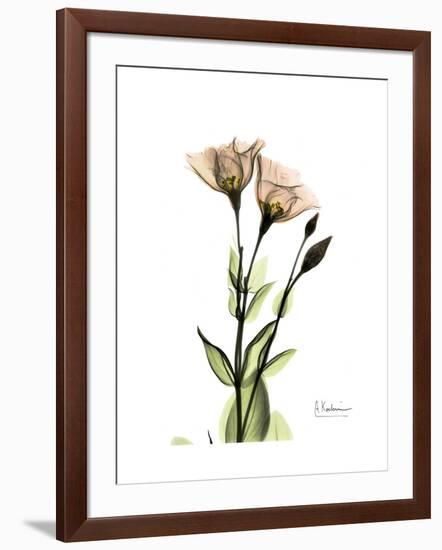 Gentian Twins-Albert Koetsier-Framed Art Print