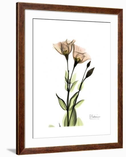 Gentian Twins-Albert Koetsier-Framed Art Print