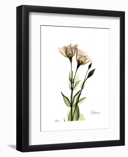 Gentian Twins-Albert Koetsier-Framed Art Print