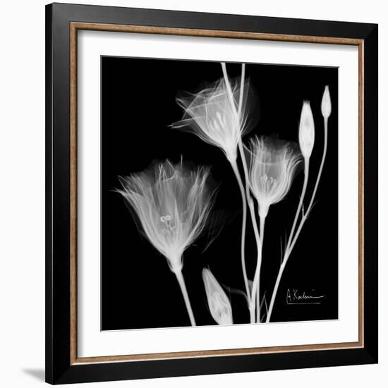 Gentian Xray 1-Albert Koetsier-Framed Art Print