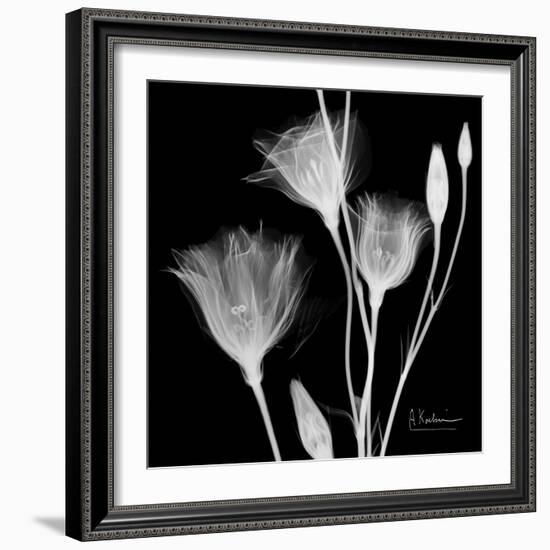 Gentian Xray 1-Albert Koetsier-Framed Art Print