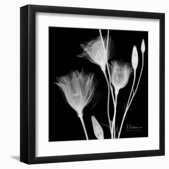 Gentian Xray 1-Albert Koetsier-Framed Art Print