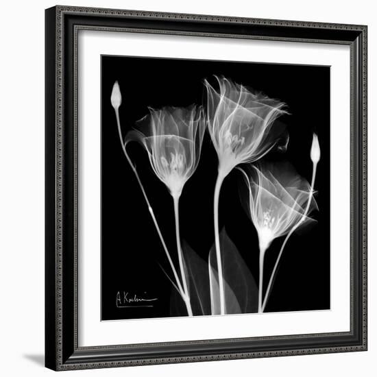 Gentian Xray 1-Albert Koetsier-Framed Art Print