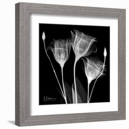 Gentian Xray 1-Albert Koetsier-Framed Art Print