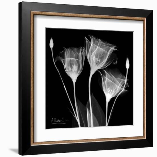 Gentian Xray 1-Albert Koetsier-Framed Art Print