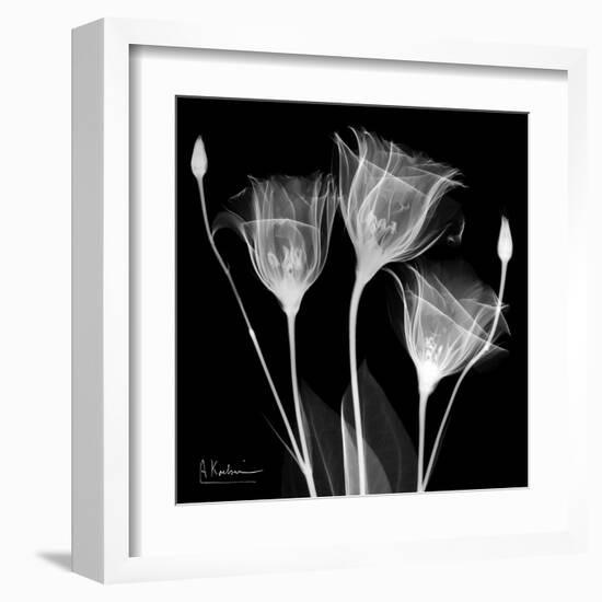 Gentian Xray 1-Albert Koetsier-Framed Art Print