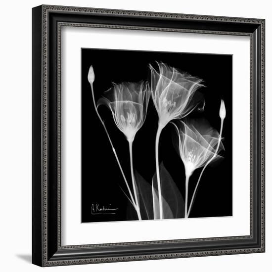 Gentian Xray 1-Albert Koetsier-Framed Art Print