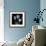 Gentian Xray 1-Albert Koetsier-Framed Premium Giclee Print displayed on a wall