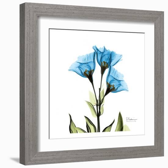 Gentian-Albert Koetsier-Framed Art Print