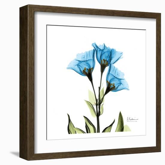 Gentian-Albert Koetsier-Framed Art Print